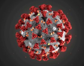 analise-de-mutacoes-do-coronavirus-leva-a-potencial-vacina-universal-contra-a-covid