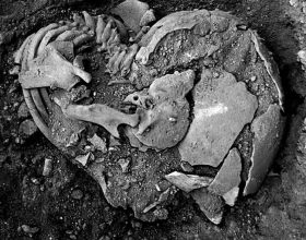 caso-de-sifilis-de-10-mil-anos-atras-e-descoberto-no-interior-de-mg