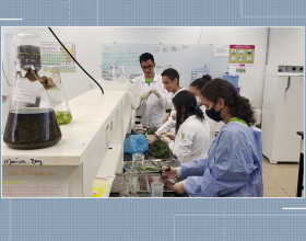 estudantes-de-rondonia-criam-‘biopomada’-para-tratar-leishmaniose-e-ganham-premio-nacional