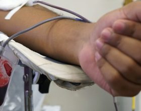 fundacao-promove-semana-nacional-do-doador-de-sangue
