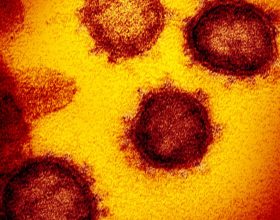identificadas-duas-linhagens-novas-do-coronavirus-no-brasil